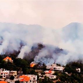 إخماد حريق غابة بريا في سقي رشميا بعدما تسبب بخسائر كبيرة