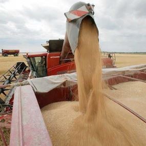 بدء تفريغ 7000 طن من القمح الأوكراني في مرفأ طرابلس